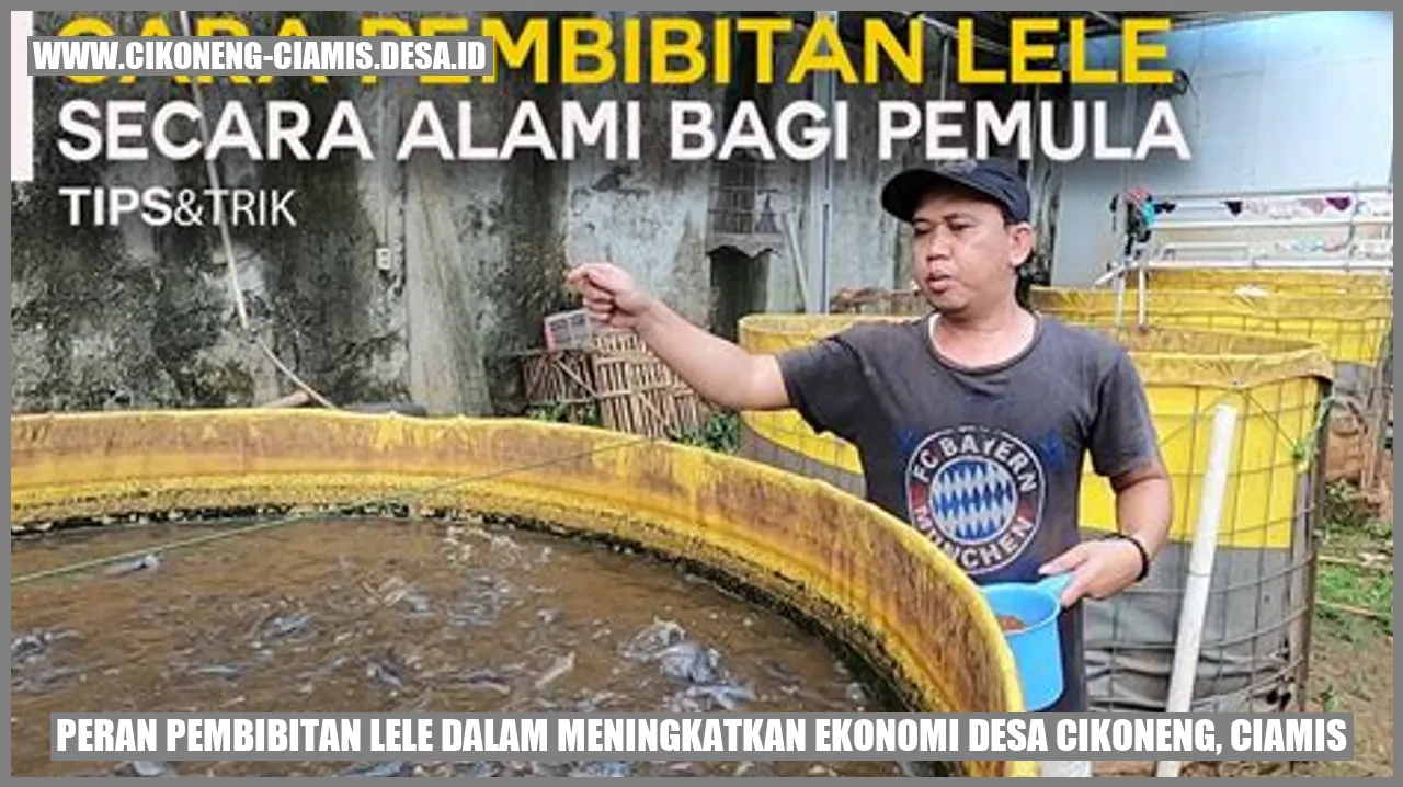 Pembibitan Lele Meningkatkan Ekonomi Desa Cikoneng