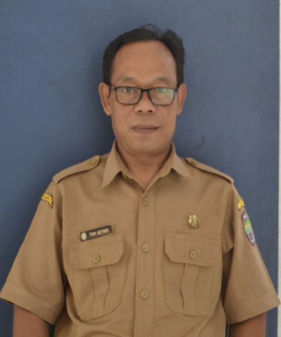 Tedi Setiadi