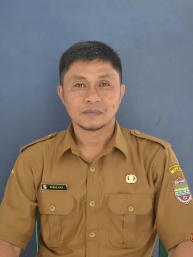 Aceng Apip